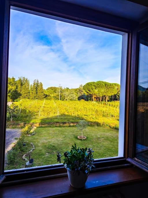 La Casa Nella Vigna Colline Del Vino Lejlighed Capannori Eksteriør billede