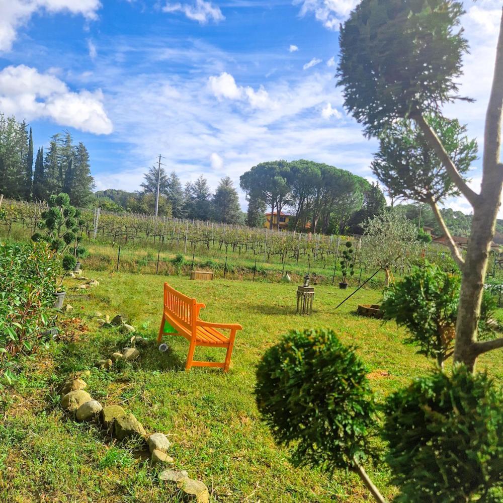 La Casa Nella Vigna Colline Del Vino Lejlighed Capannori Eksteriør billede