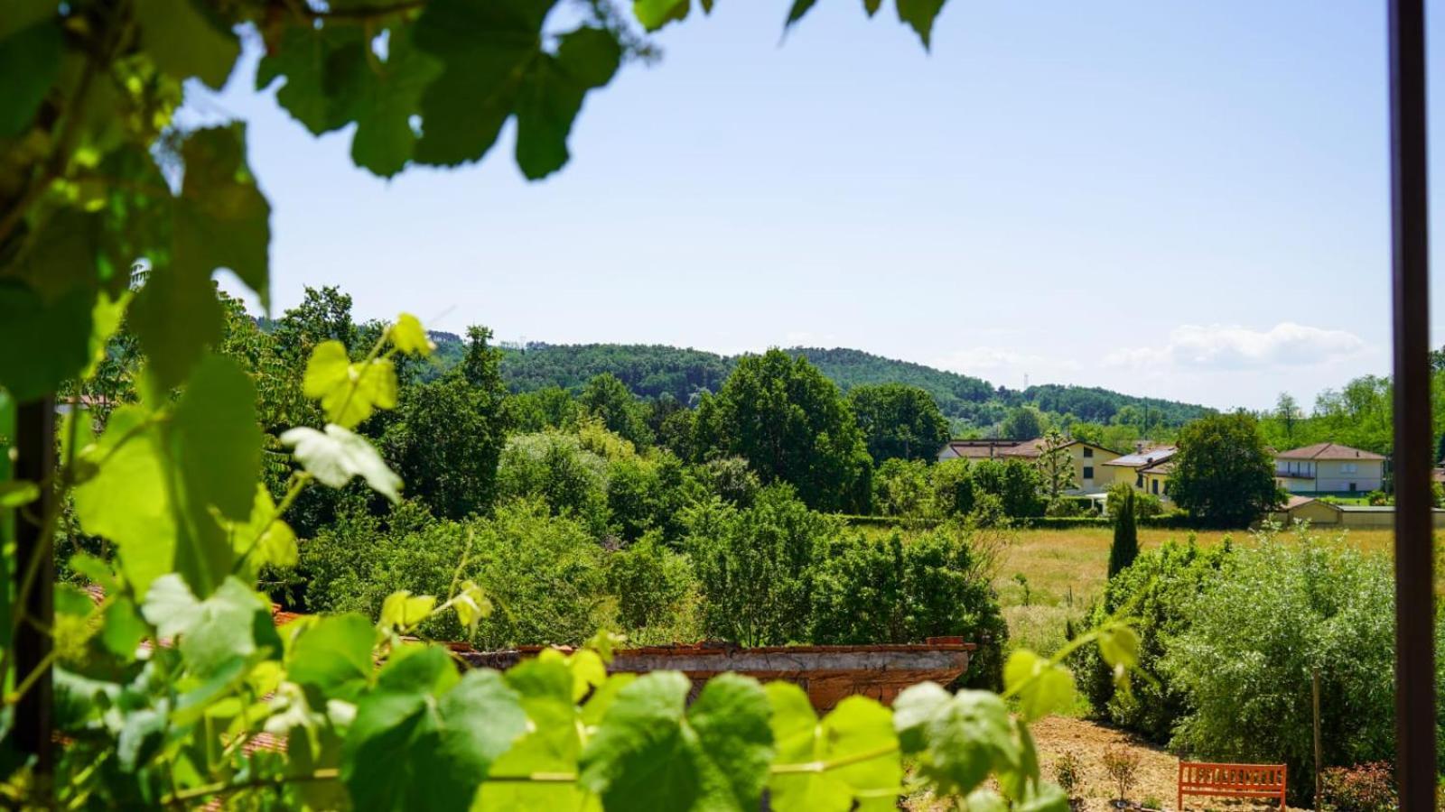 La Casa Nella Vigna Colline Del Vino Lejlighed Capannori Eksteriør billede