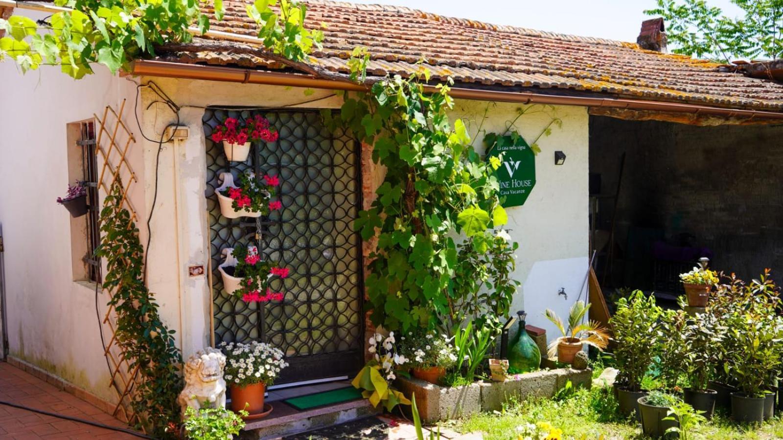 La Casa Nella Vigna Colline Del Vino Lejlighed Capannori Eksteriør billede