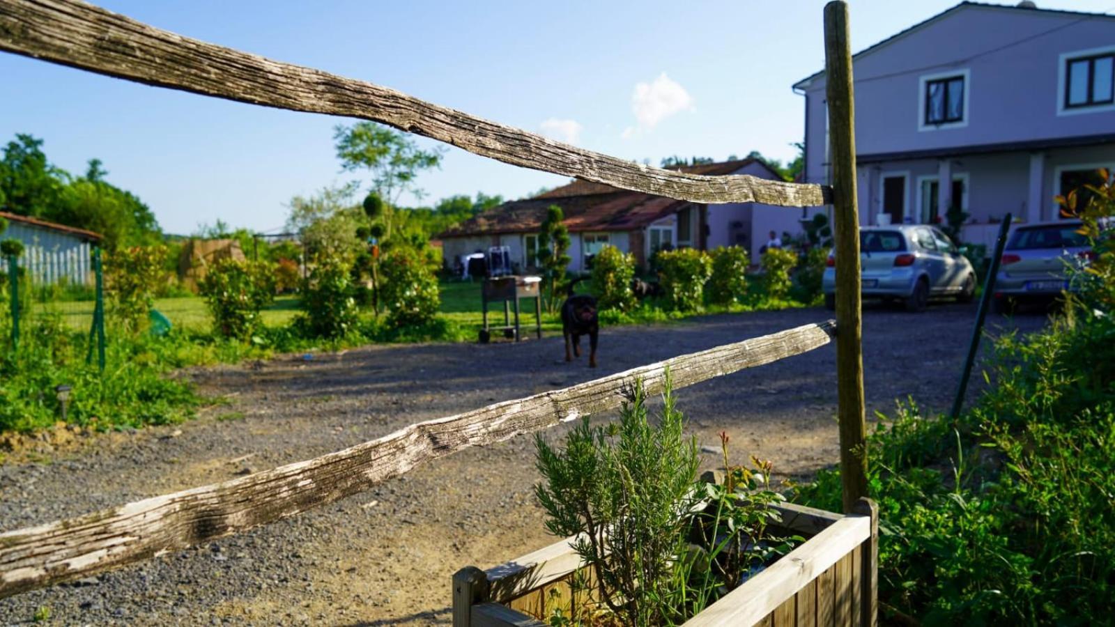 La Casa Nella Vigna Colline Del Vino Lejlighed Capannori Eksteriør billede