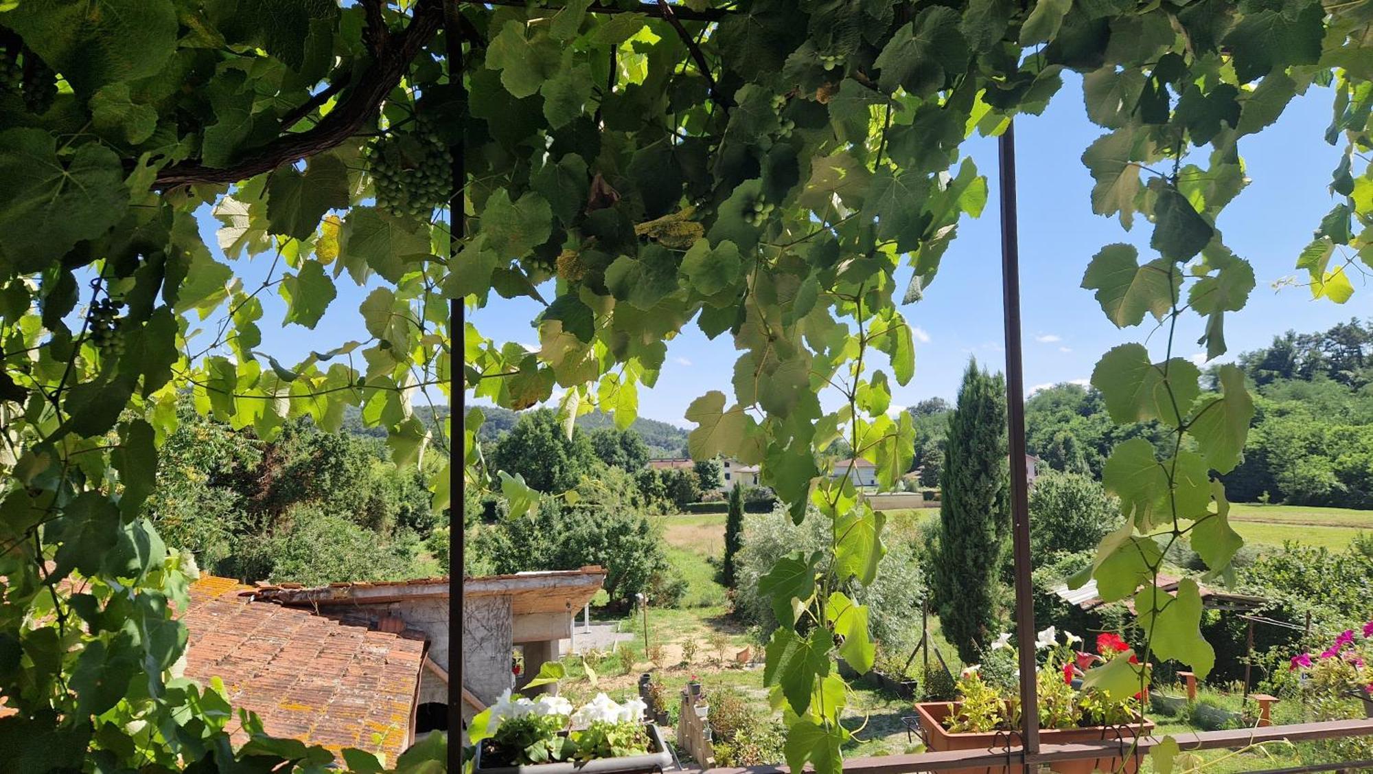 La Casa Nella Vigna Colline Del Vino Lejlighed Capannori Eksteriør billede